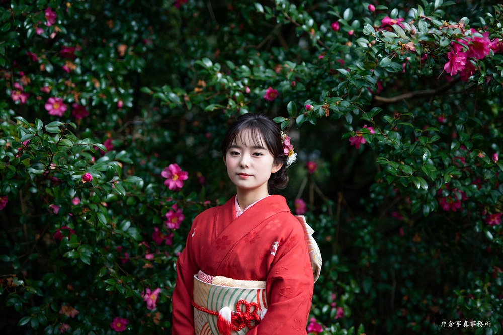 京都植物園　成人前撮り　片倉写真事務所