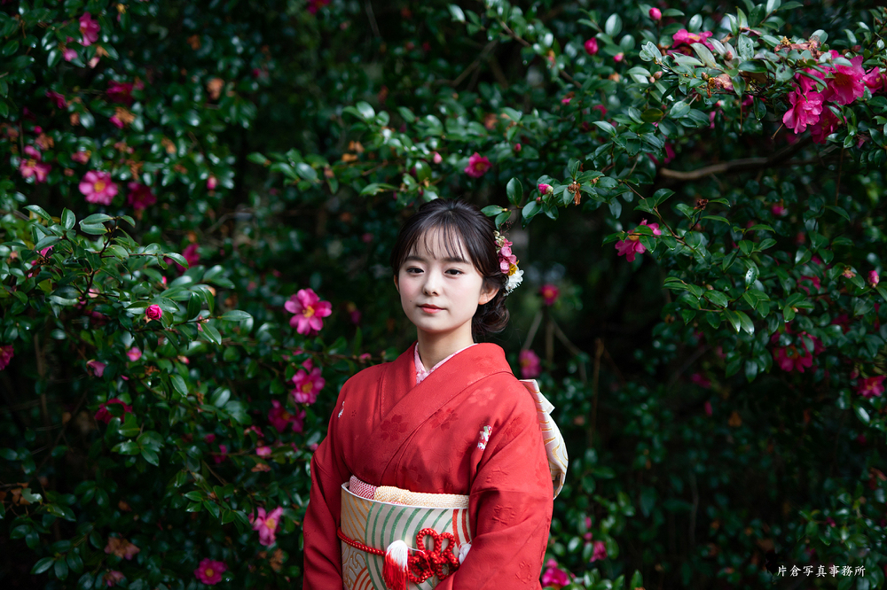 京都植物園 成人前撮り 片倉写真事務所