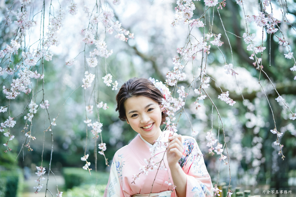 京都の桜|成人式前撮り撮影