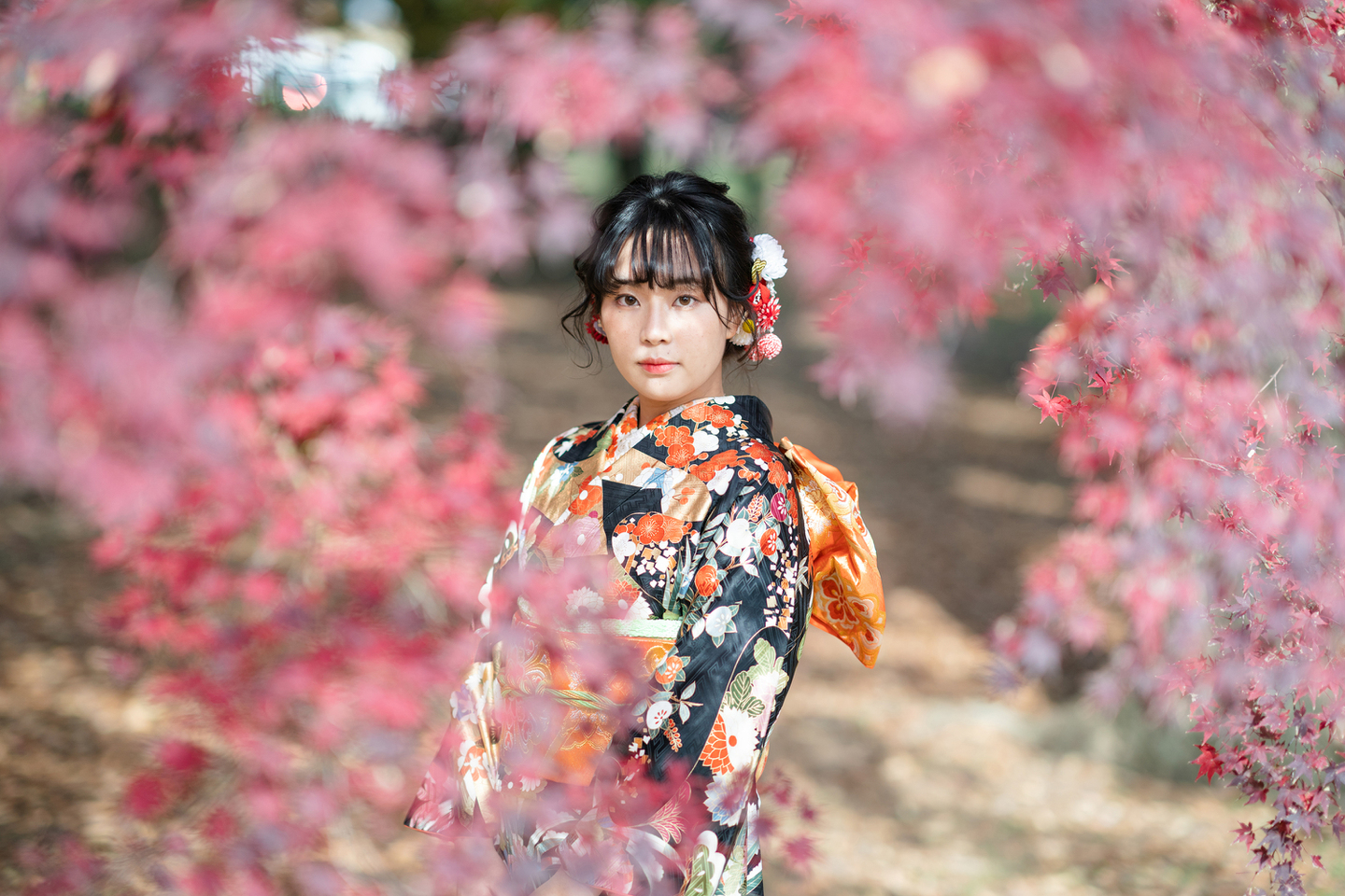 京都 成人式 前撮り 紅葉