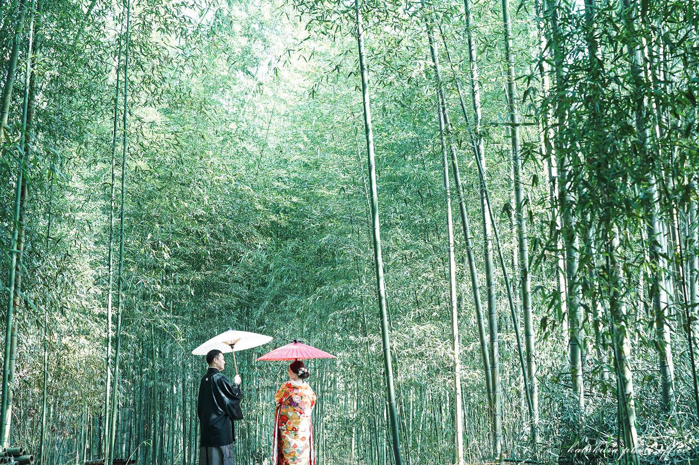 京都|竹林|和装打掛け&和傘スタイル|前撮り