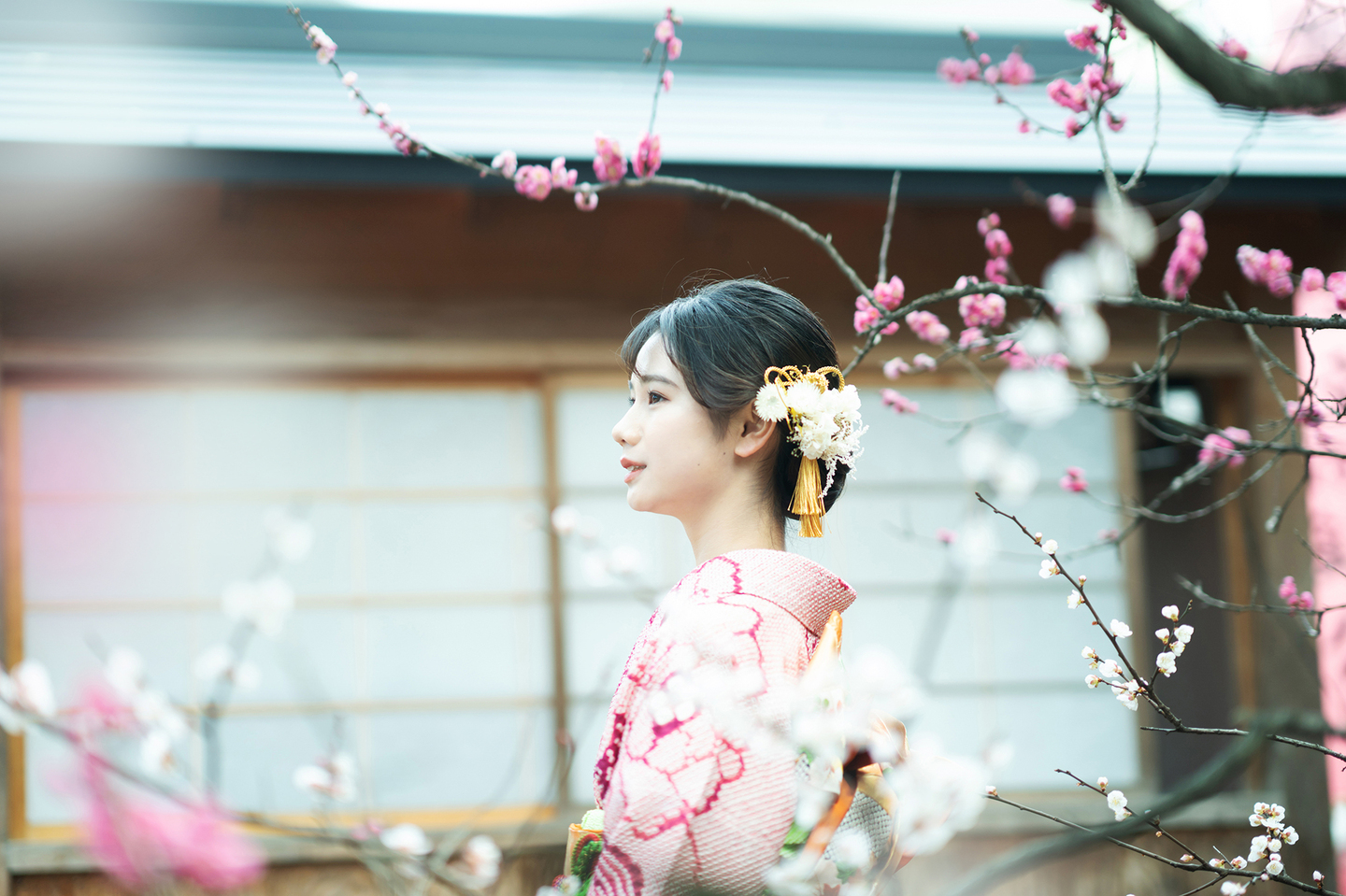 梅の時期に京都で撮影した成人式の写真です。
