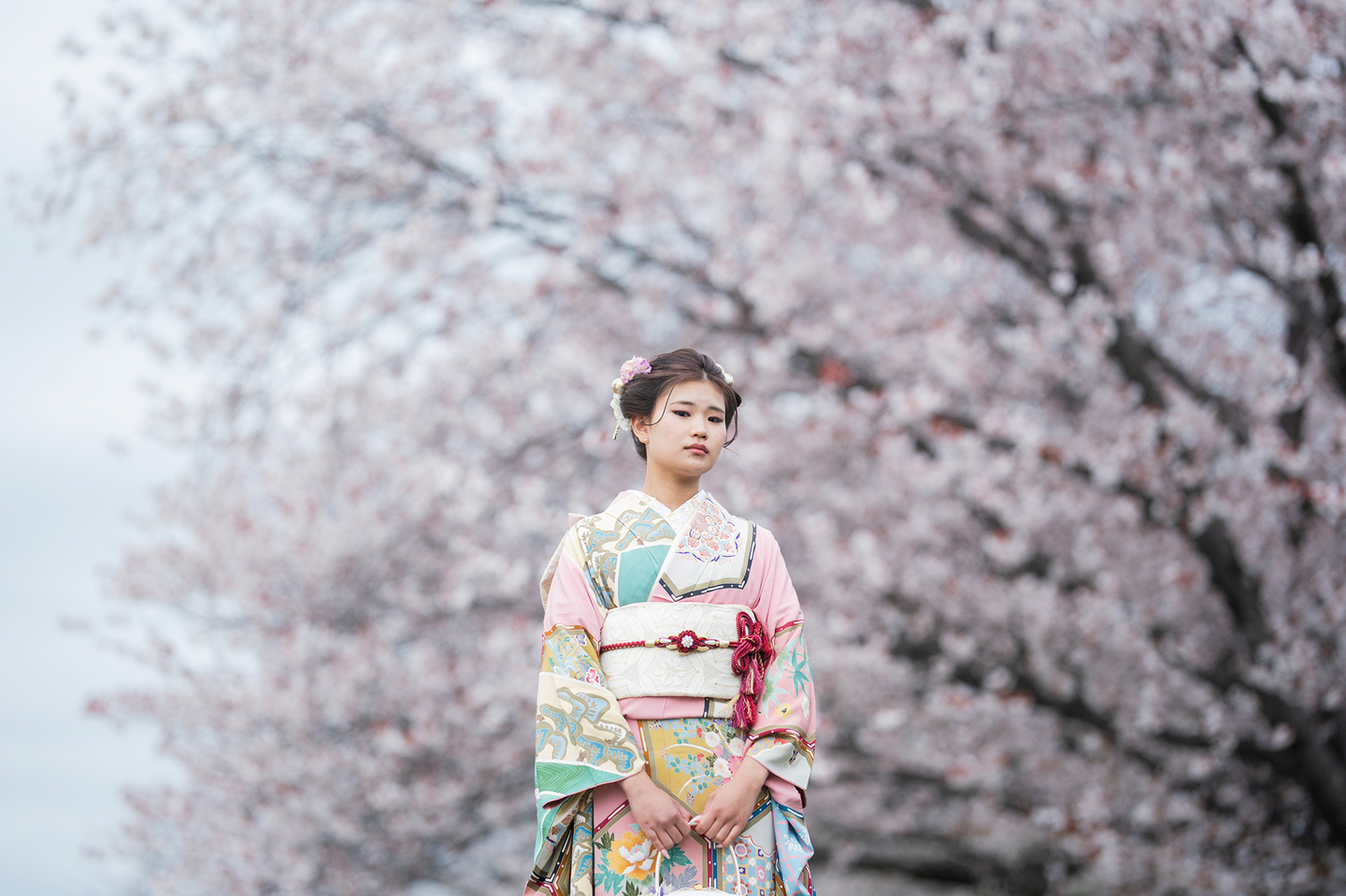 加茂川の桜と京都前撮り｜成人式ロケーションフォト