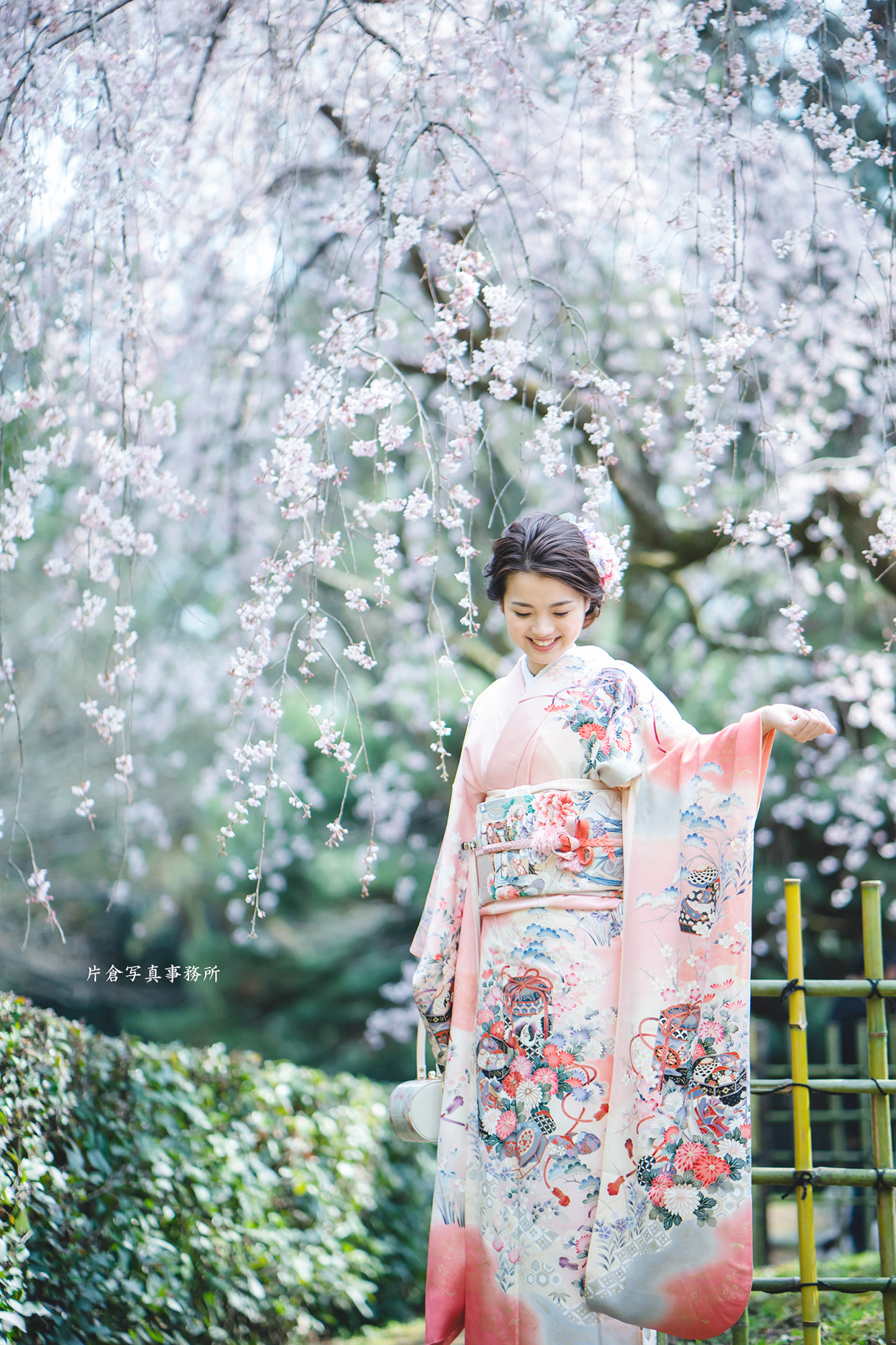 成人式  桜 前撮り・京都