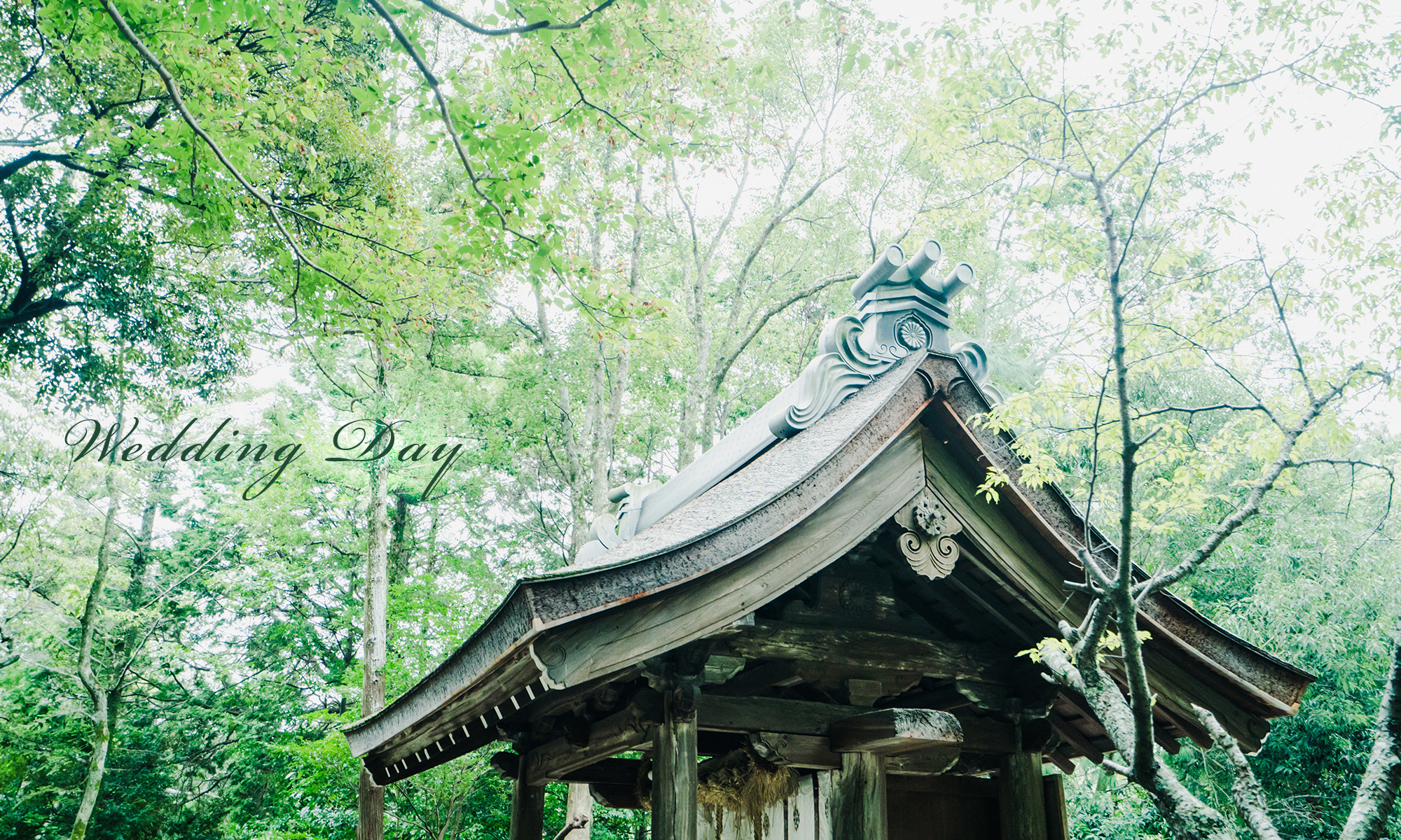 上賀茂神社　結婚式