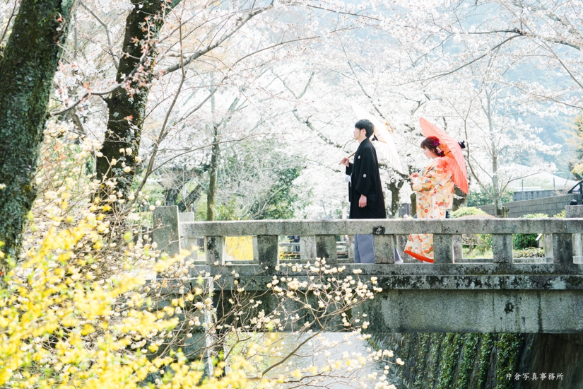 哲学の道 桜 前撮り