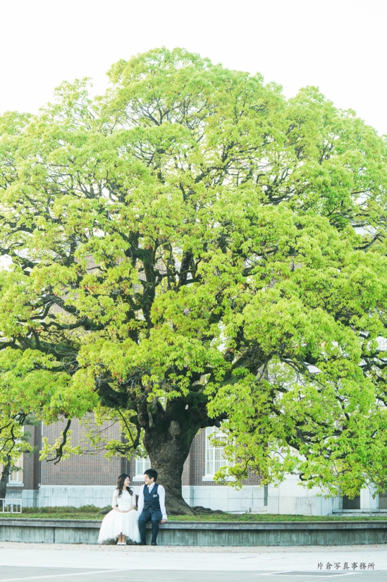 京都大学 楠木 結婚式前撮り